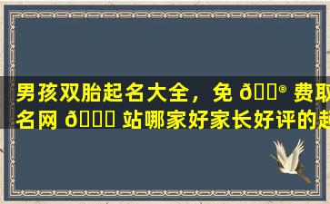 男孩双胎起名大全，免 💮 费取名网 🐅 站哪家好家长好评的起名网推荐！
